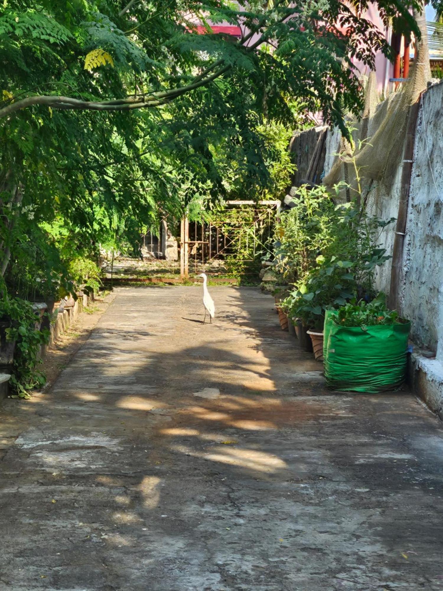 Dream Vision Guest House Diu Exterior photo